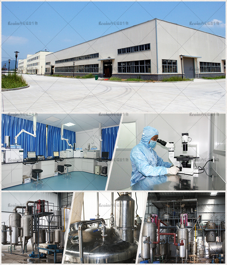 Hesperidin Methyl Chalcone industry insight