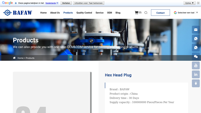 Hex Head Plug Pipe Fitting - BAFAW