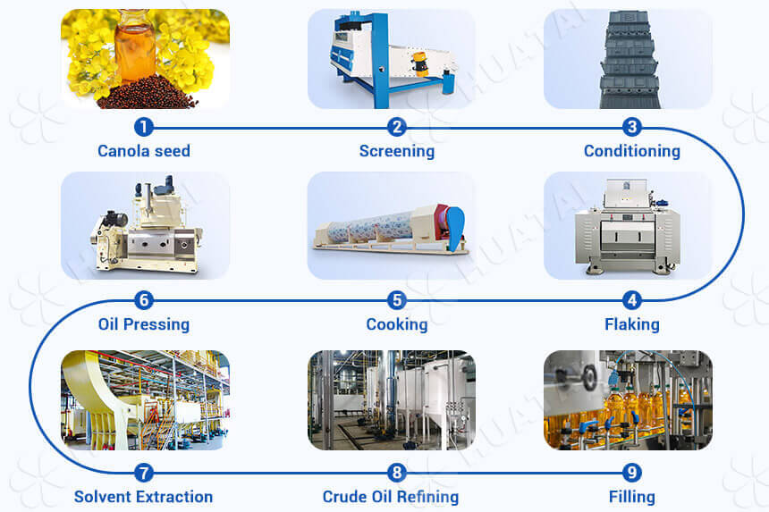 High Oleic Canola industry insight