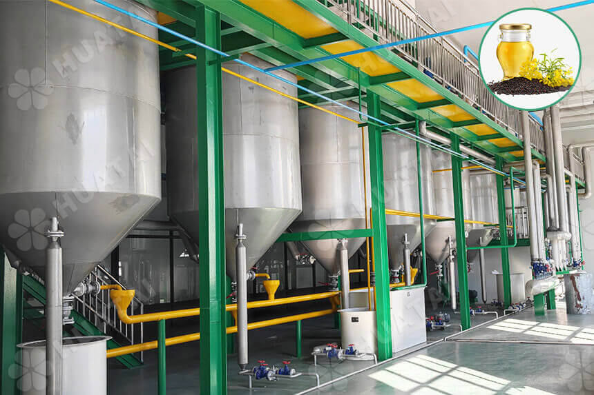 High Oleic Canola industry insight