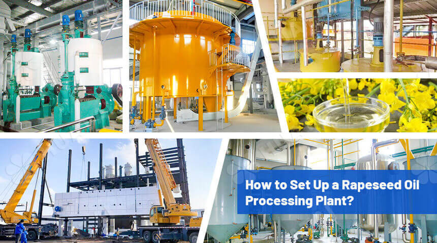 High Oleic Canola industry insight