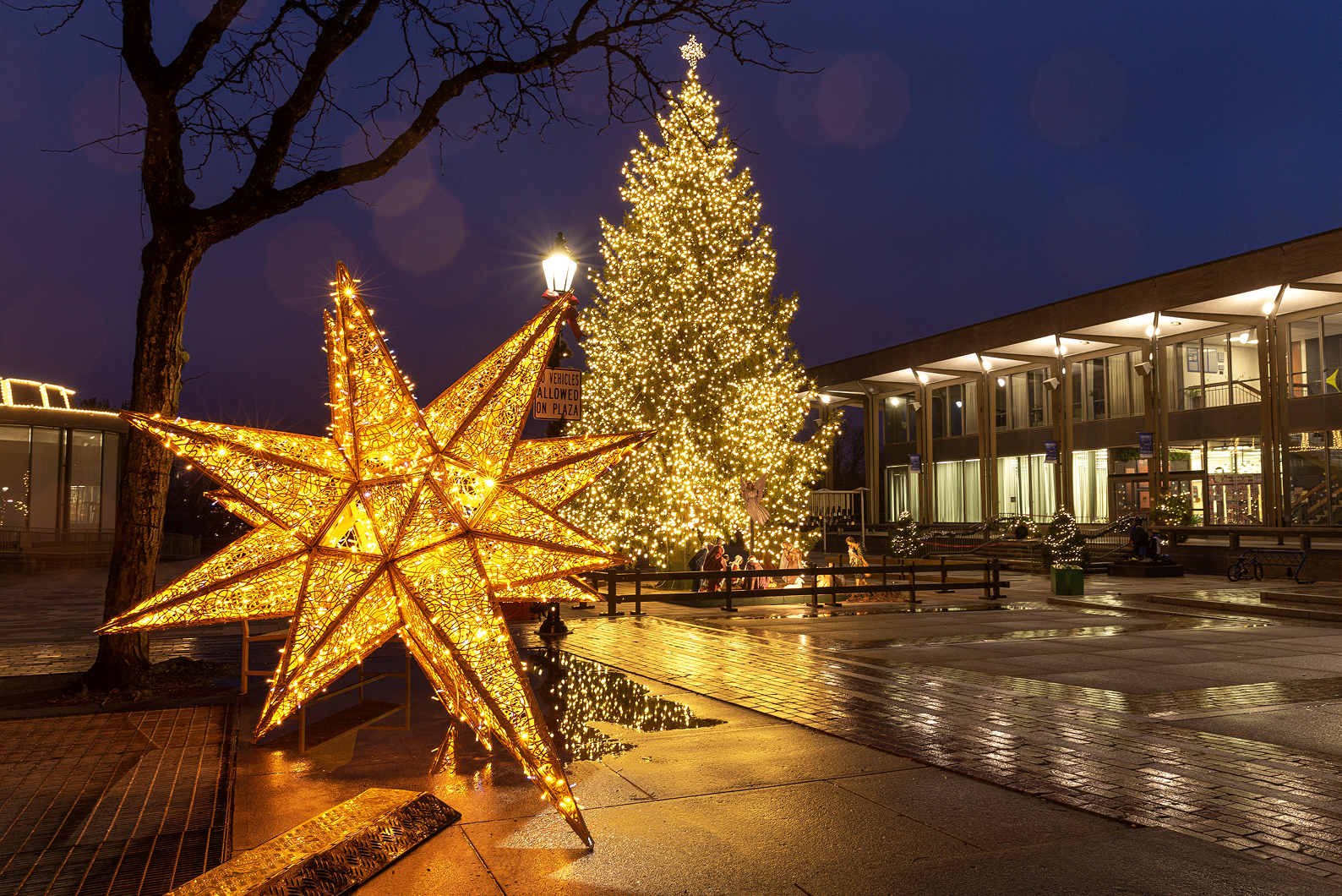 Holiday Outdoor Decor