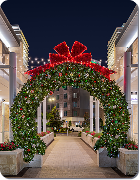 Holiday Outdoor Decor