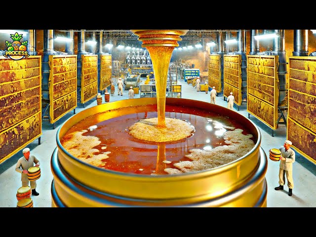 Honey & Me Wholesale industry insight