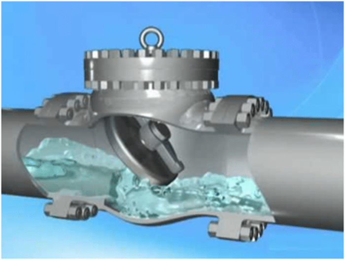 Hose Check Valve industry insight