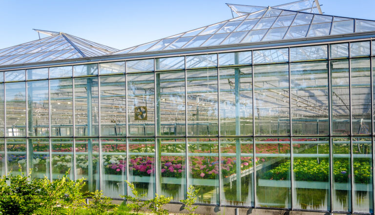 Hummert International