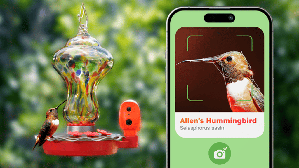 Hummingbird Feeder industry insight