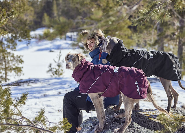 Hurtta America - Active Dog Gear