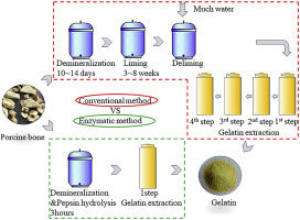 Hydrolysed Gelatine industry insight