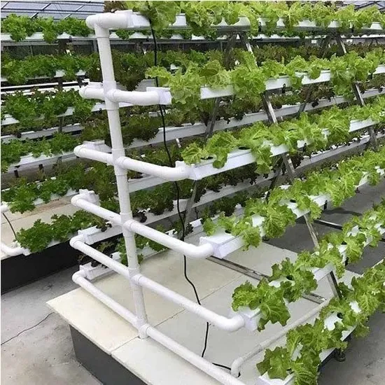 Hydroponic Growing Systems