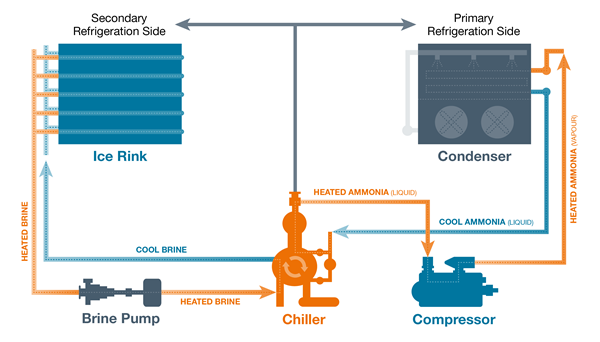 Ice Rink Refrigeration System industry insight