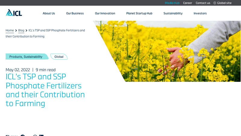 ICL's TSP and SSP Phosphate Fertilizers and their Contribution to ...