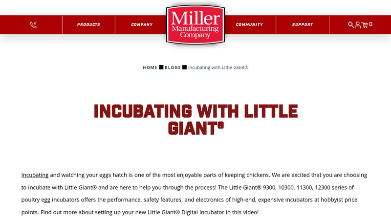 Incubating with Little Giant®