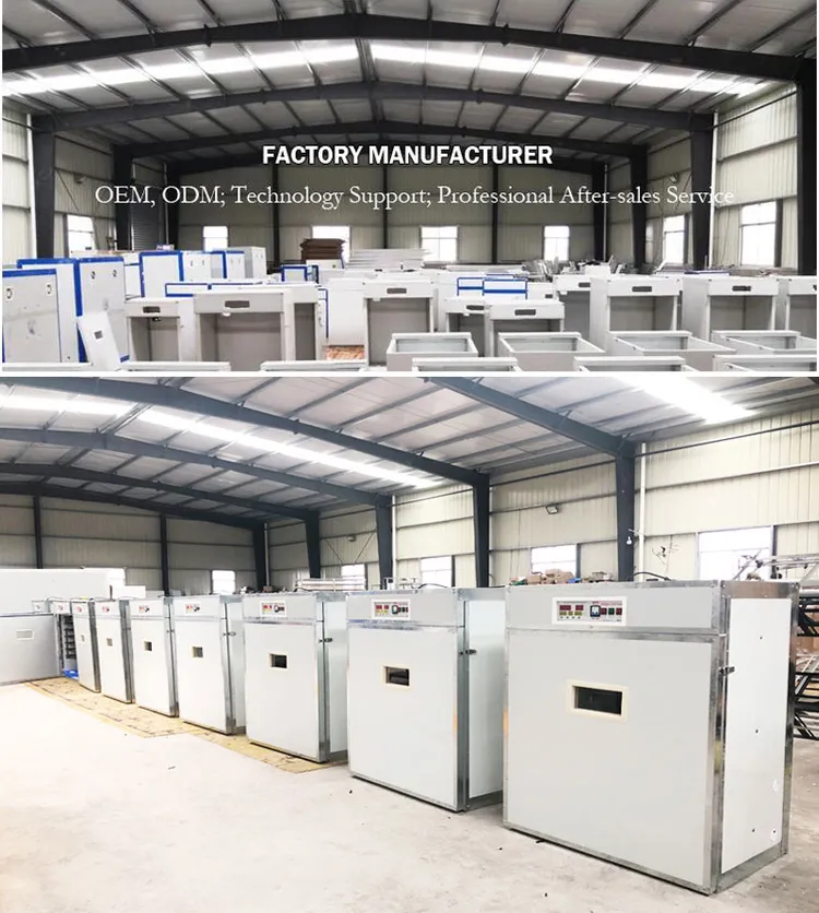 Incubators For Quail industry insight