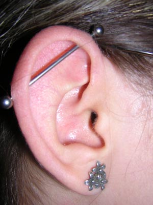 Industrial Bar Piercing Earrings industry insight