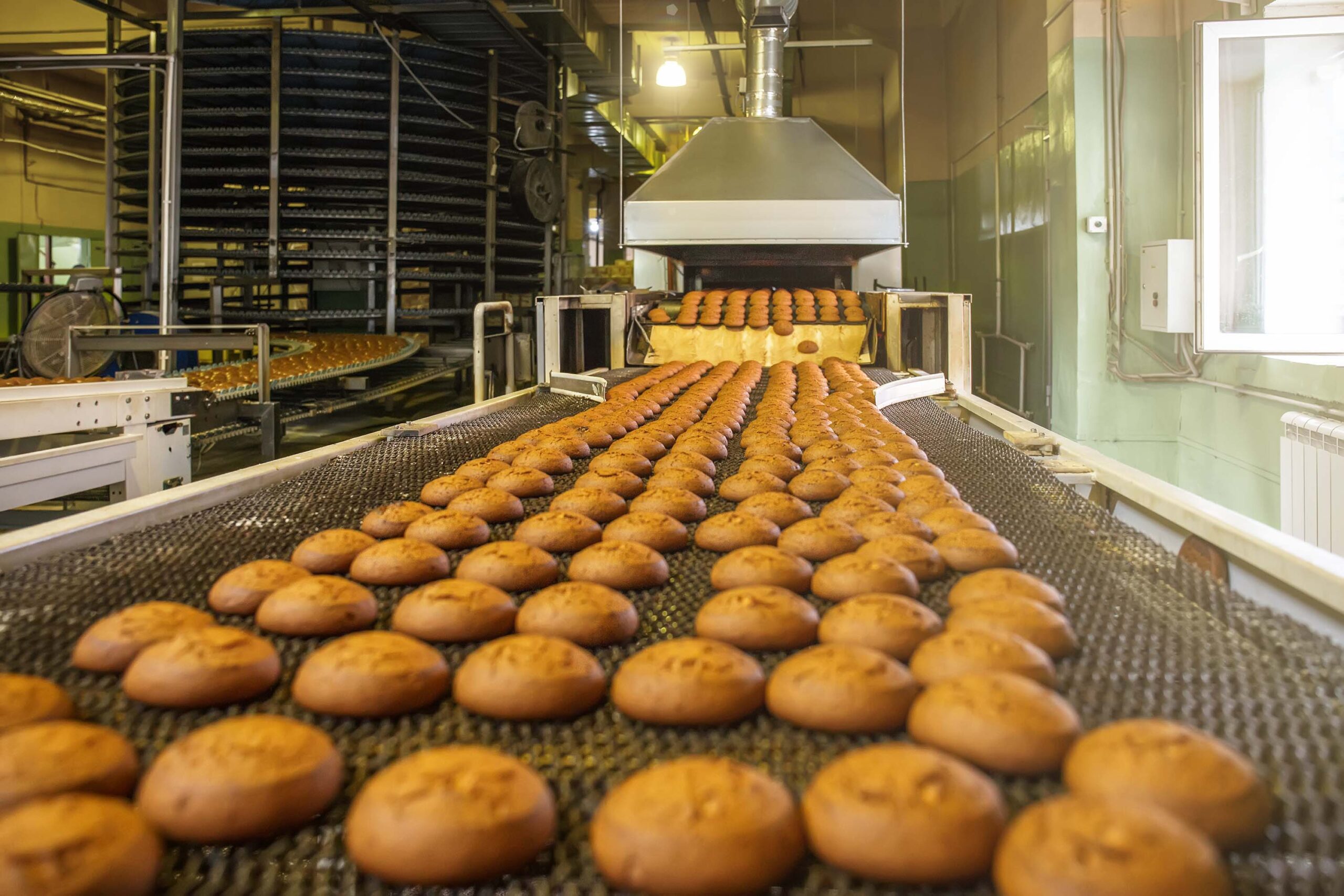 Industrial Bread Oven industry insight