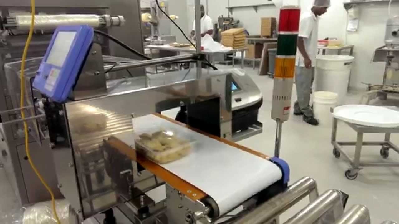 Industrial Metal Detector industry insight