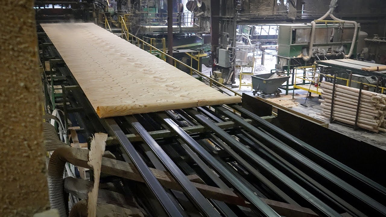 Industrial Plywood industry insight