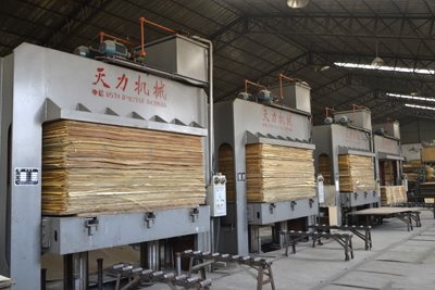 Industrial Plywood industry insight