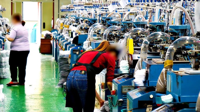 Inexpensive Socks In Bulk industry insight