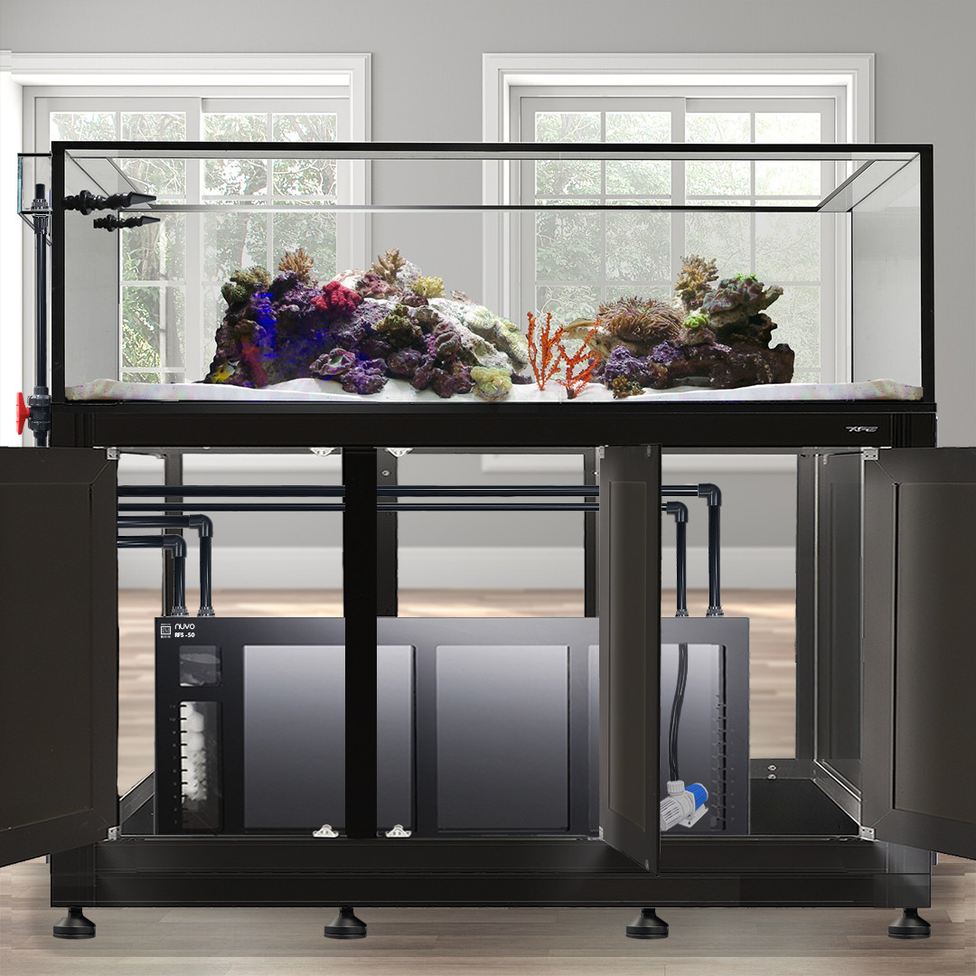 Innovative Marine - Saltwater Aquariums