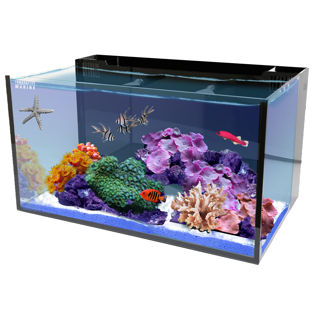 Innovative Marine - Saltwater Aquariums