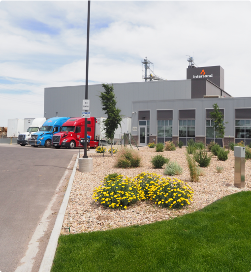 Intersand: Premium Clumping Cat Litter