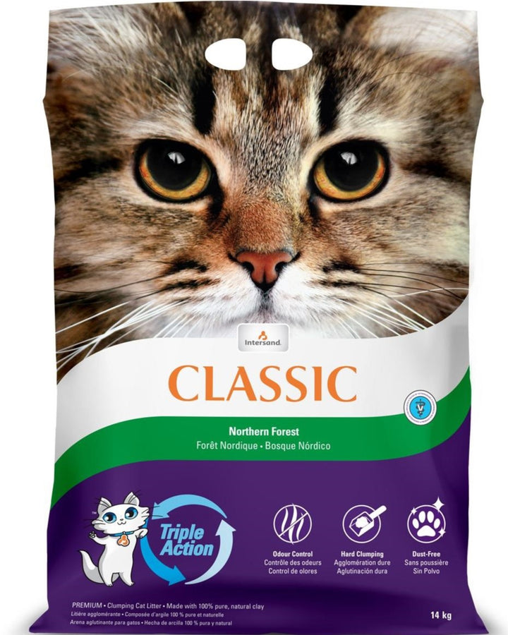 Intersand: Premium Clumping Cat Litter