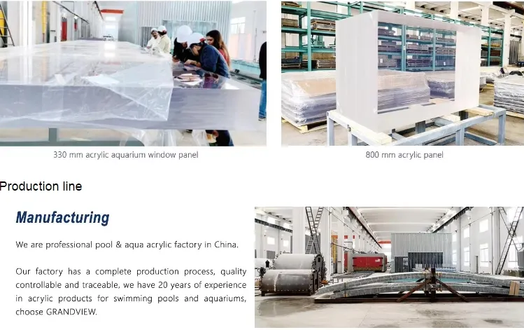 Intex Pool industry insight