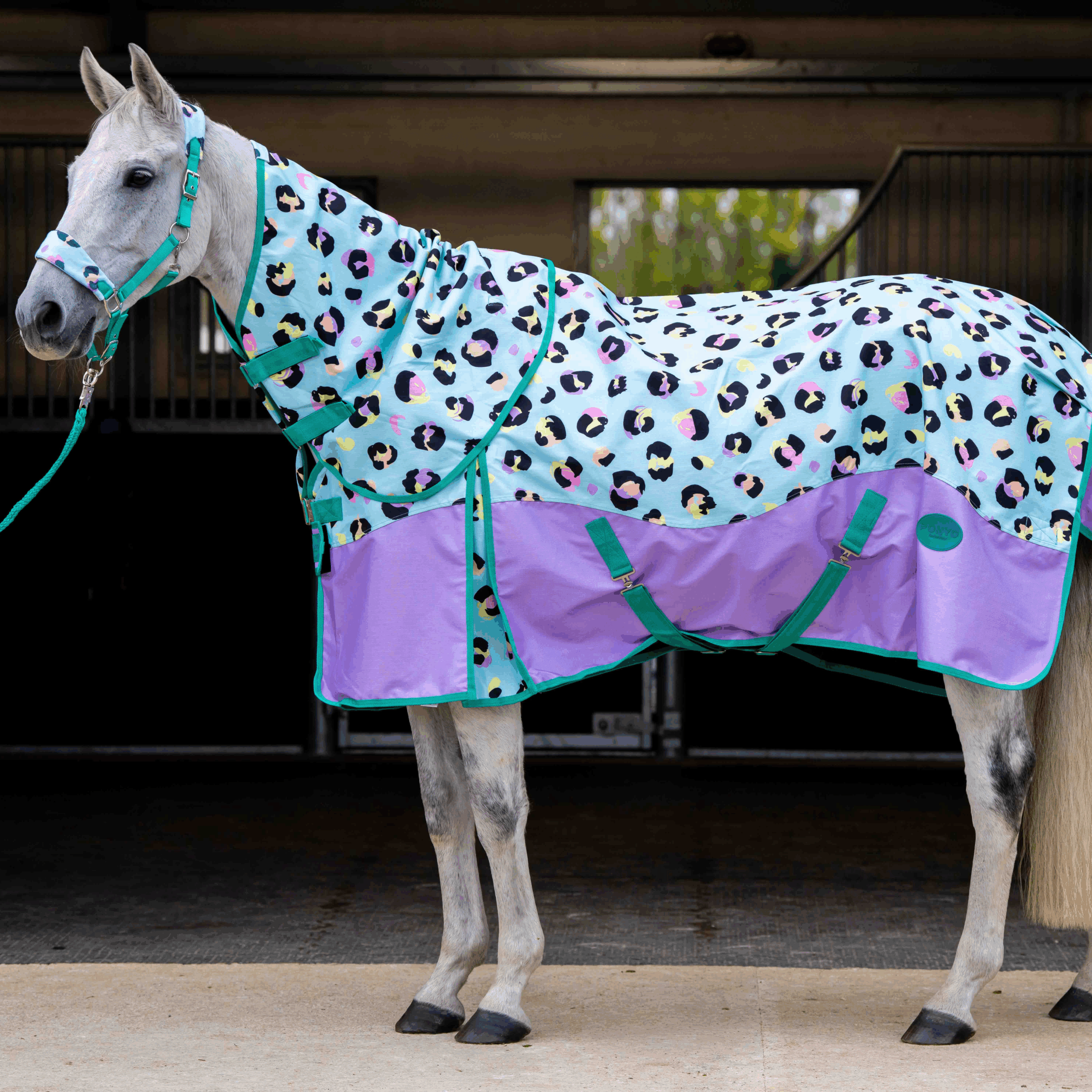 Intrepid International