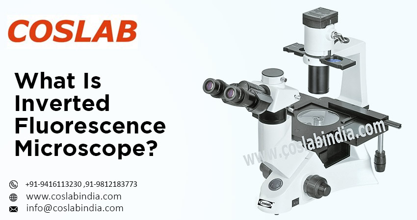 Inverted Fluorescence Microscope industry insight