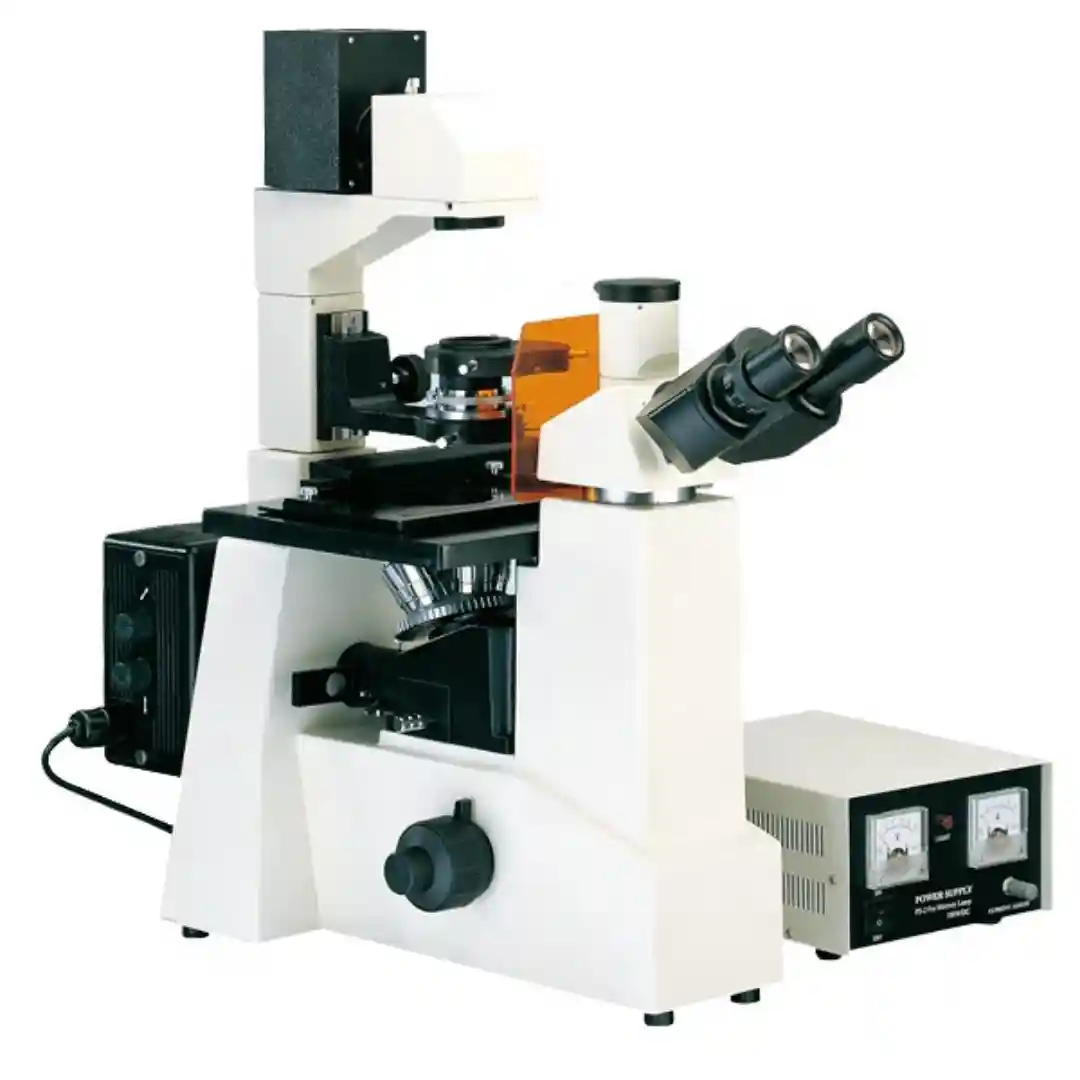 Inverted Microscopes