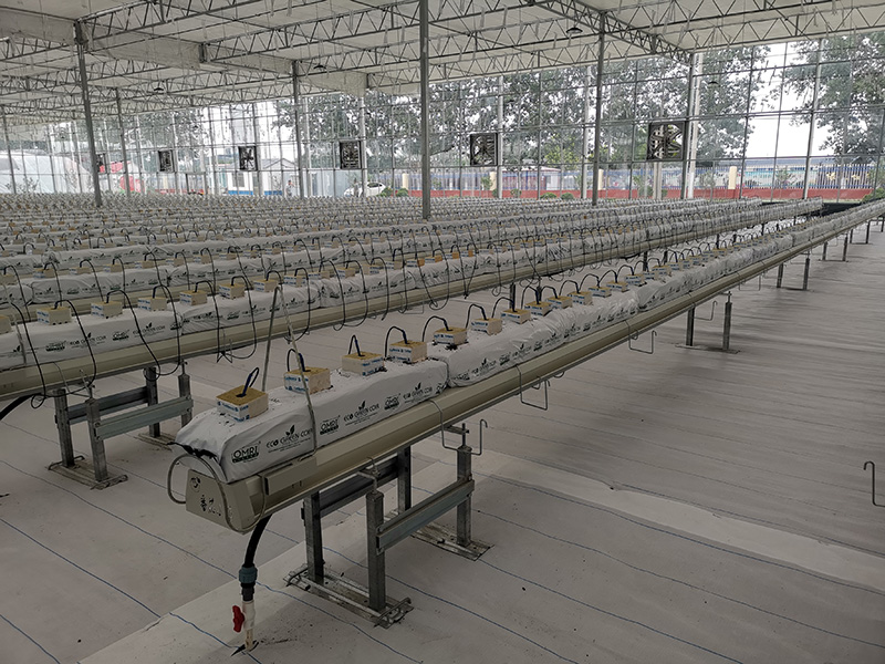 Irrigation Wholesale industry insight