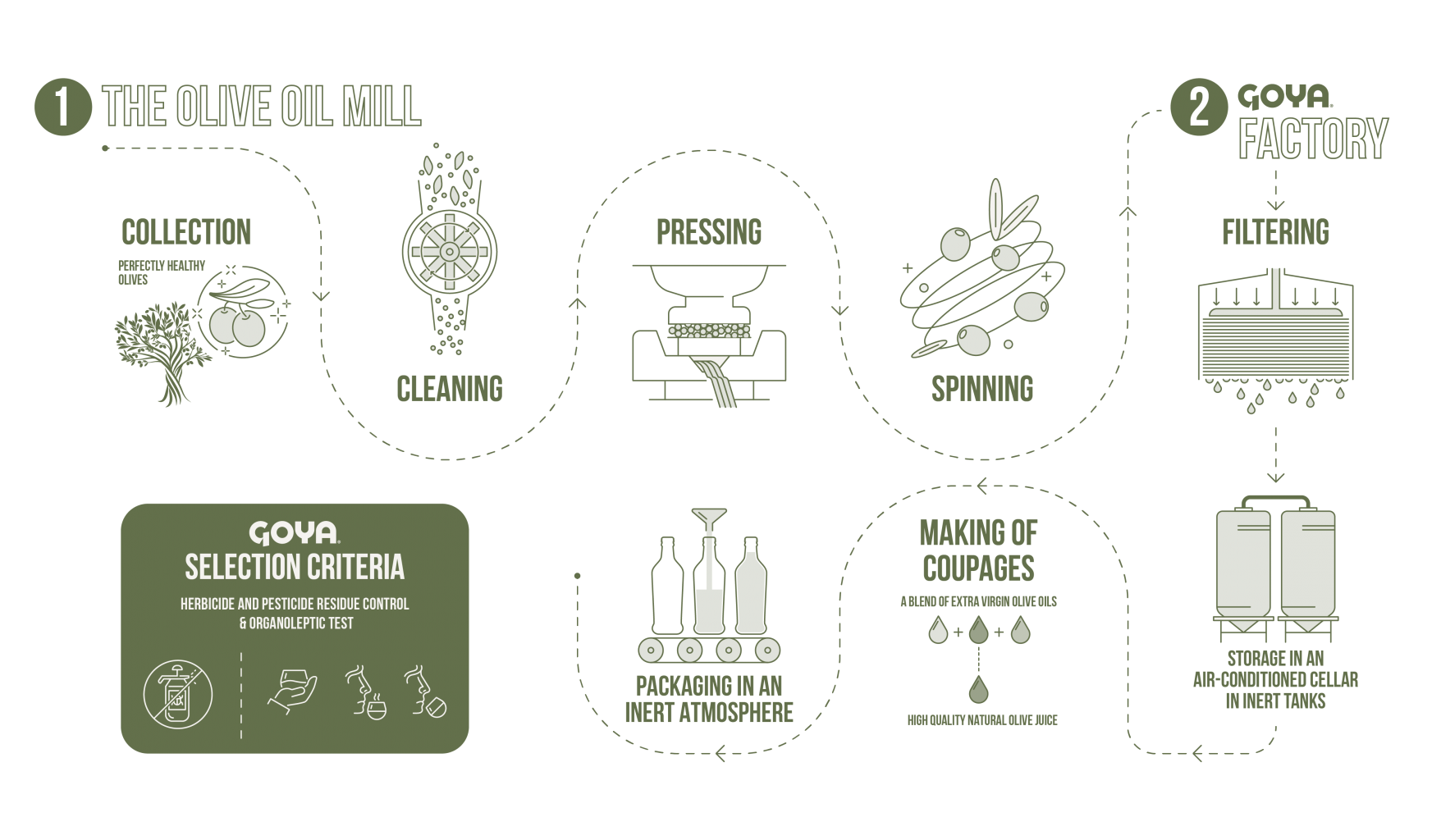 Italian Olive Oil Importers industry insight