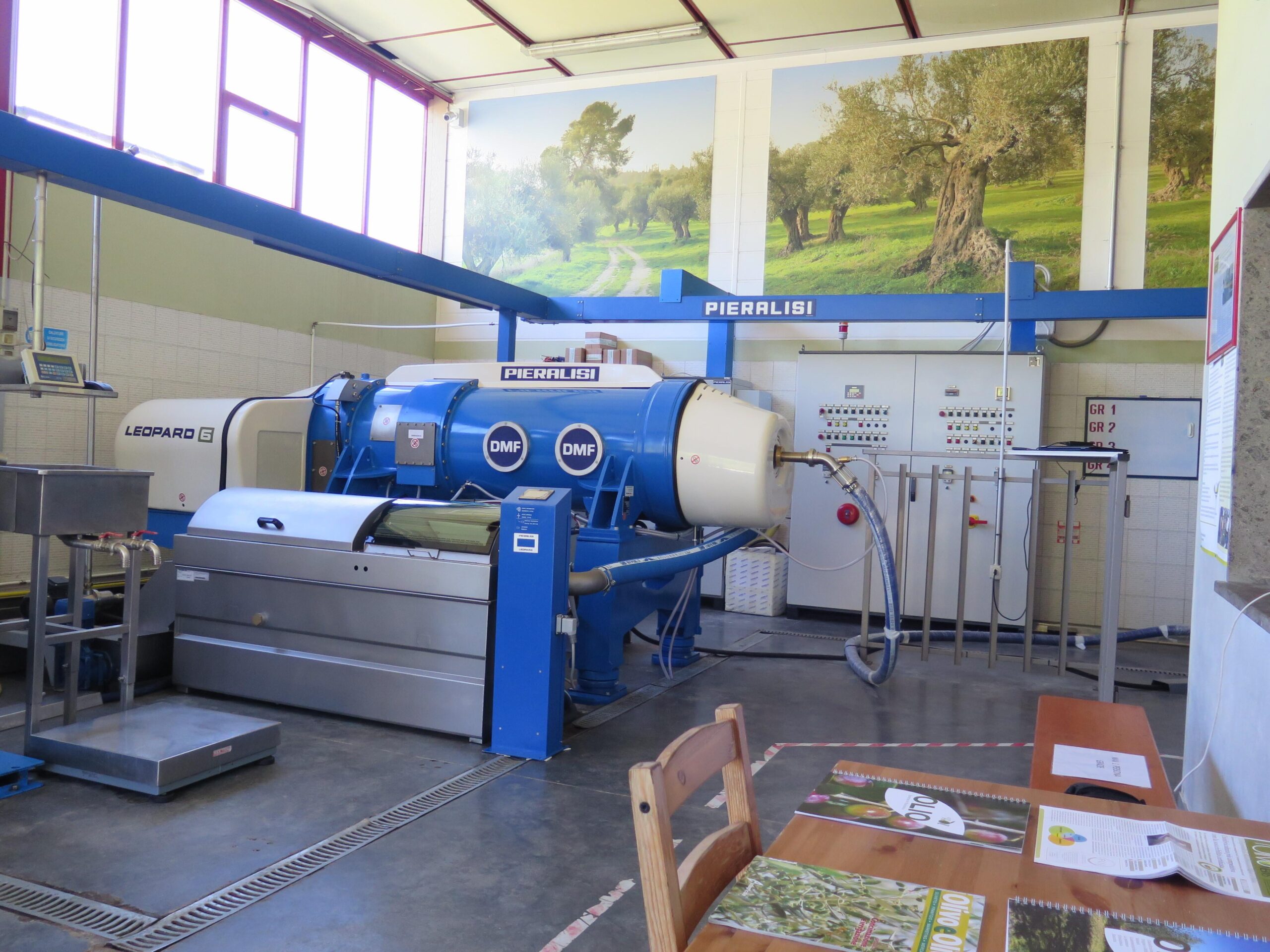 Italian Olive Oil Importers industry insight