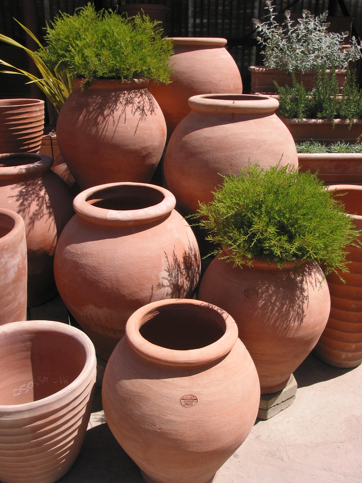 Italian Terra Cotta Planters