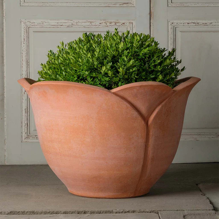 Italian Terra Cotta Planters