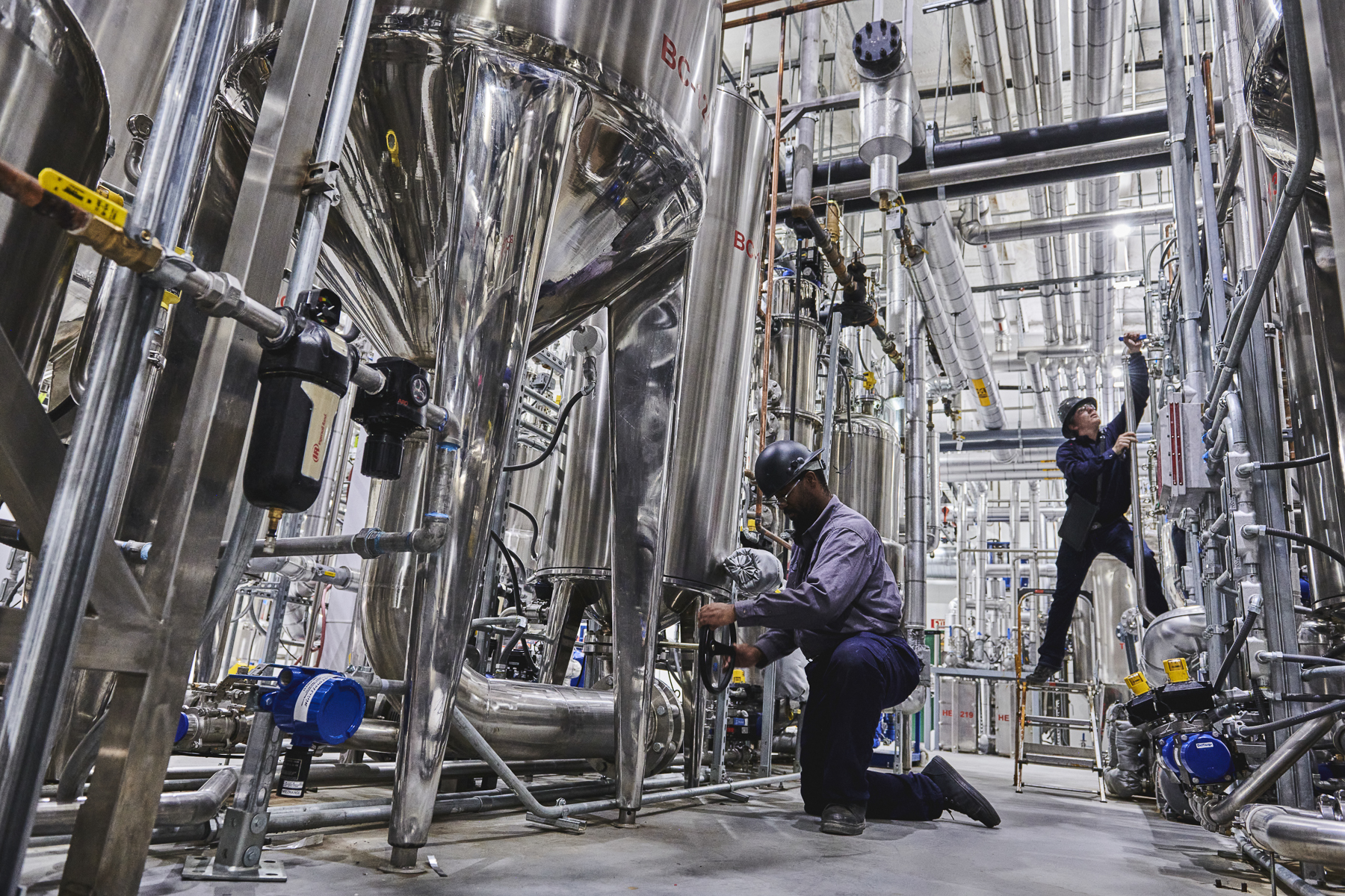 Jordan Wholesale industry insight