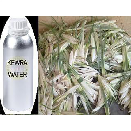 Kewra Essence industry insight