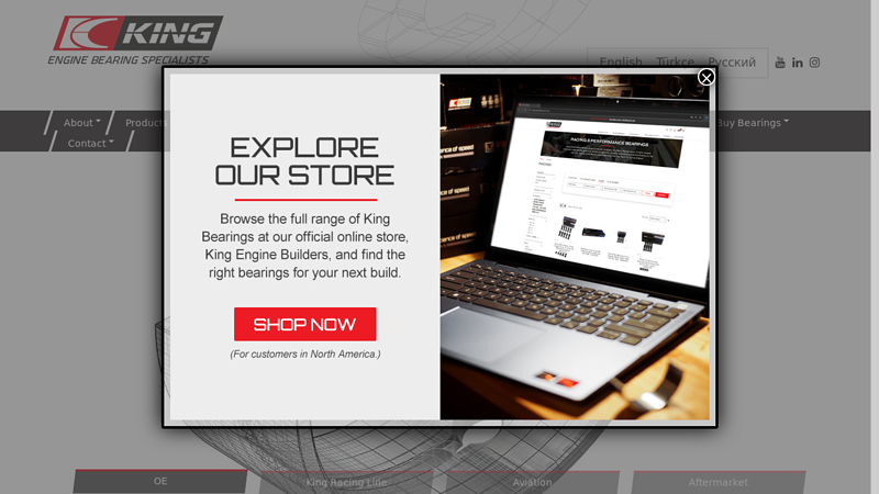 King Engine Bearings