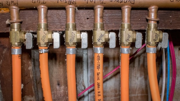 Kitec Plumbing System Products Liability Litigation