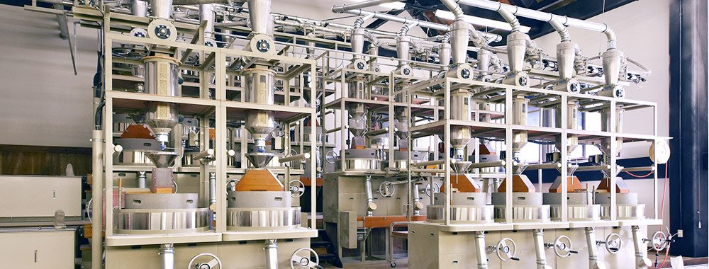 Kuttu Flour industry insight