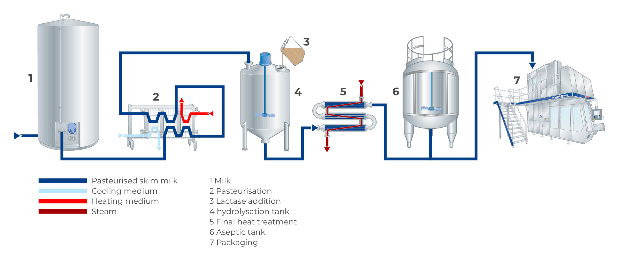 Lactase Powder industry insight