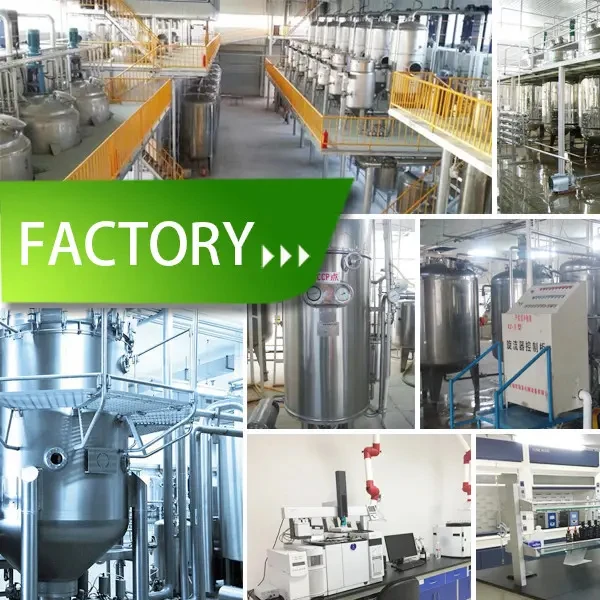 Lactase Powder industry insight