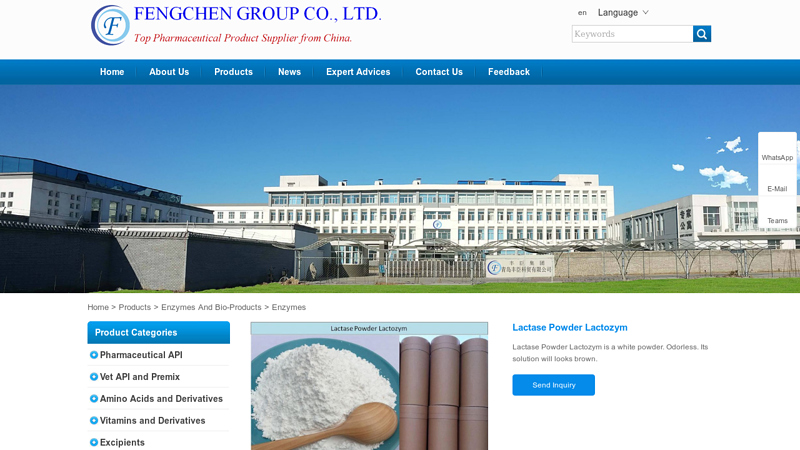 Lactase Powder Lactozym Manufacturers and Suppliers