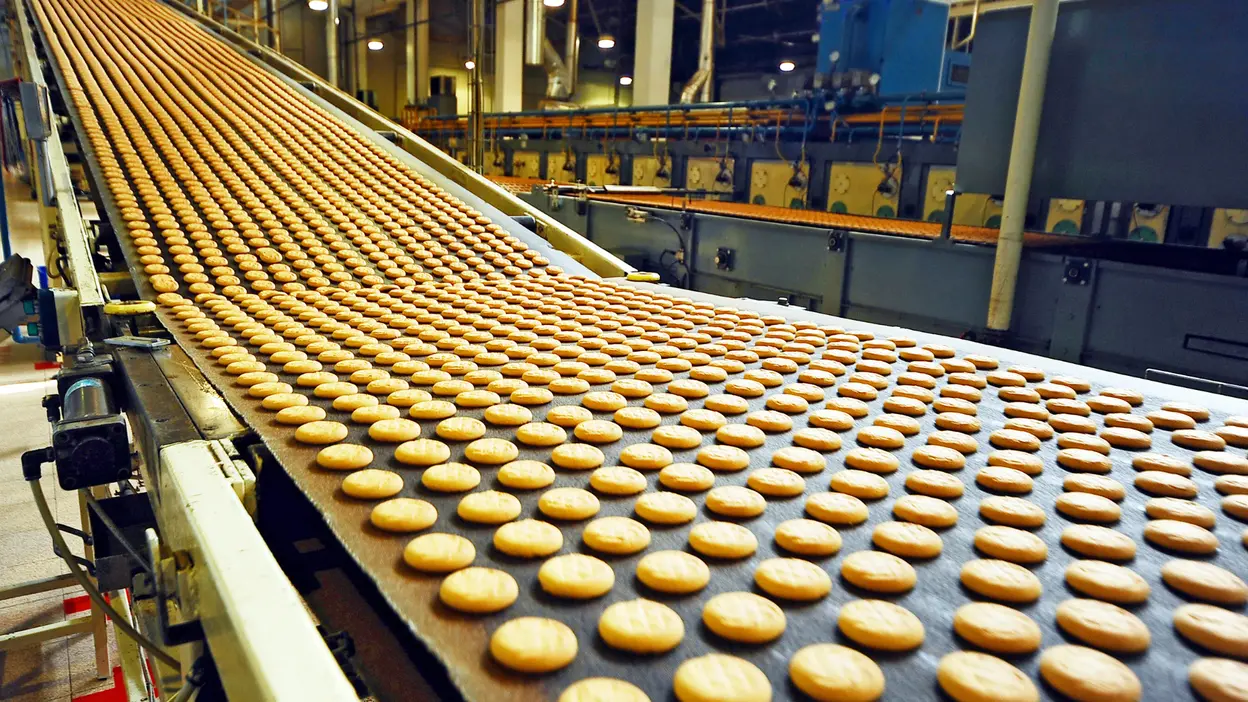 Largest Companies In Canada industry insight