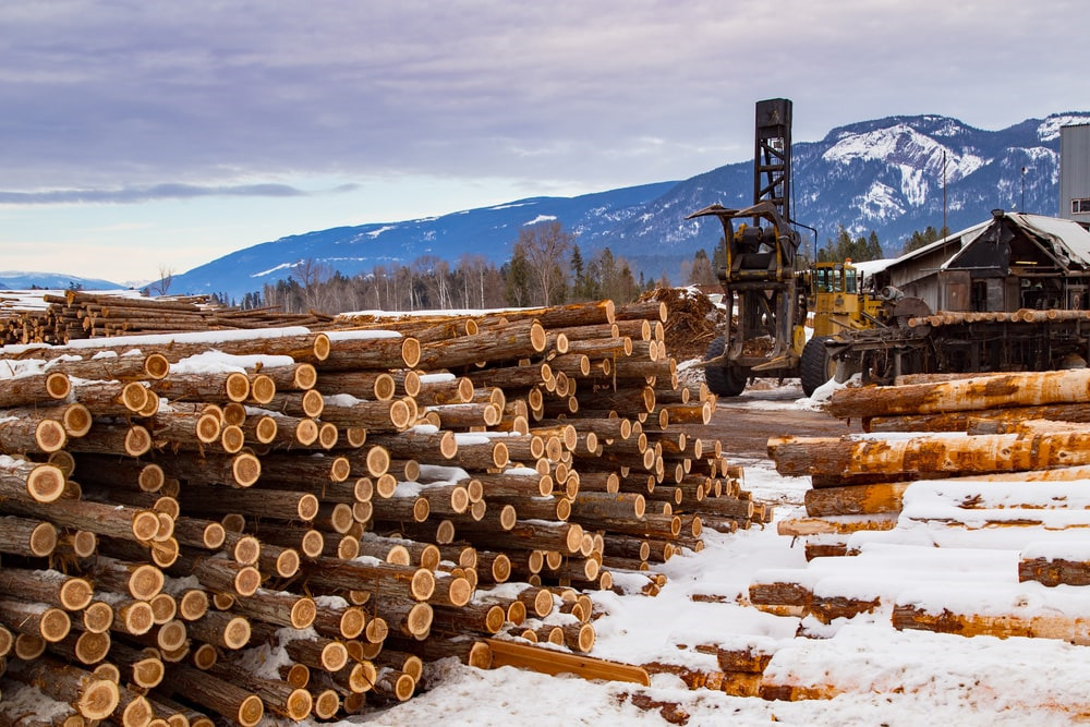 Largest Lumber Companies In Usa industry insight