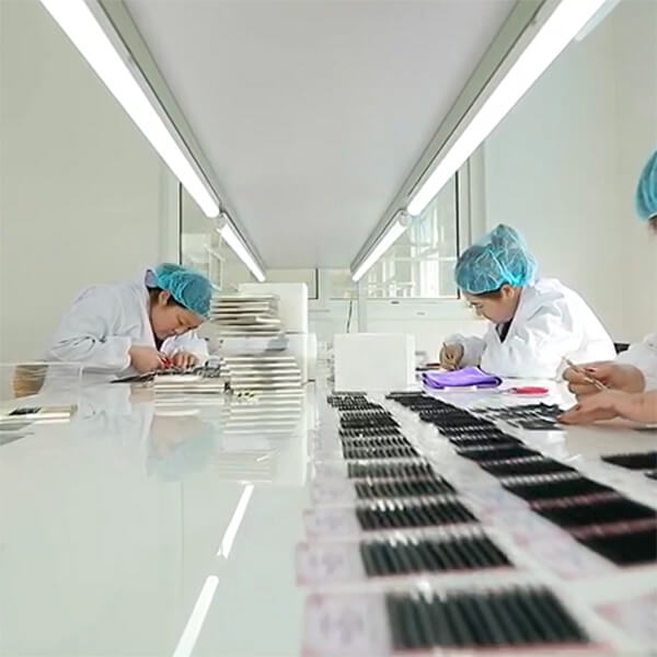 Lash Lift industry insight