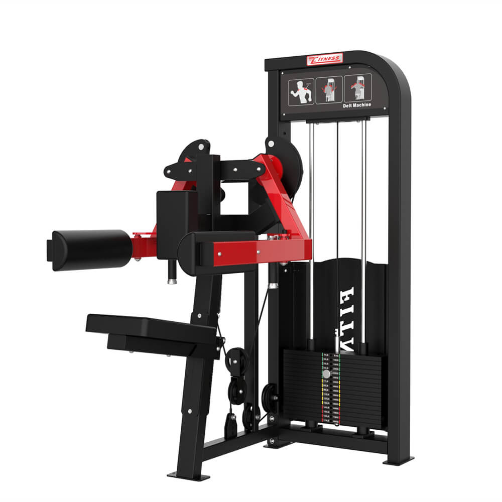 Lateral Delt Machine industry insight