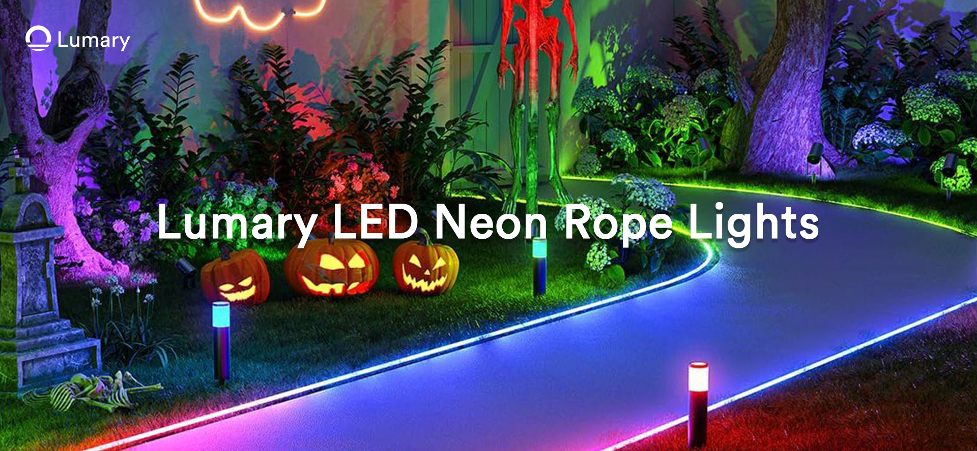 LED Strips & Ropes
